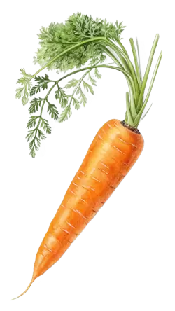 Imagen PNG para descargar